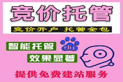 百度搜索推广实战案例：揭秘高效推广策略